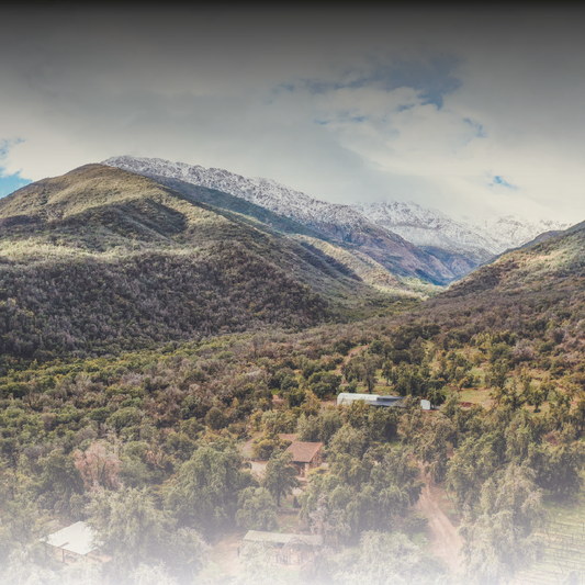 Experiencia Santuario – LM