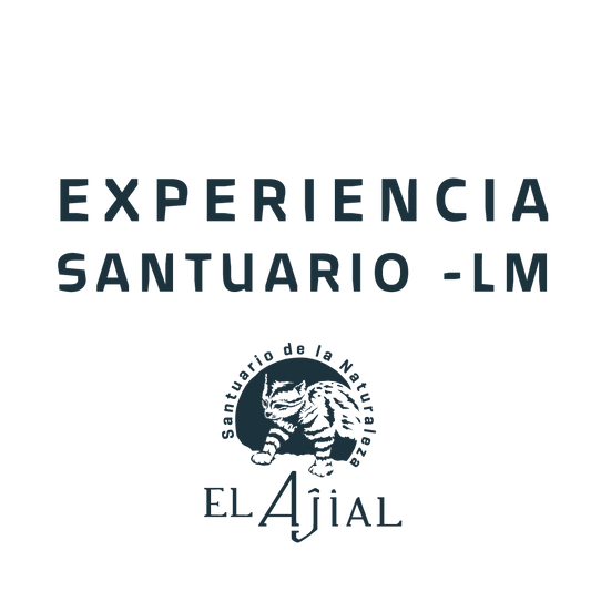 Experiencia Santuario – LM