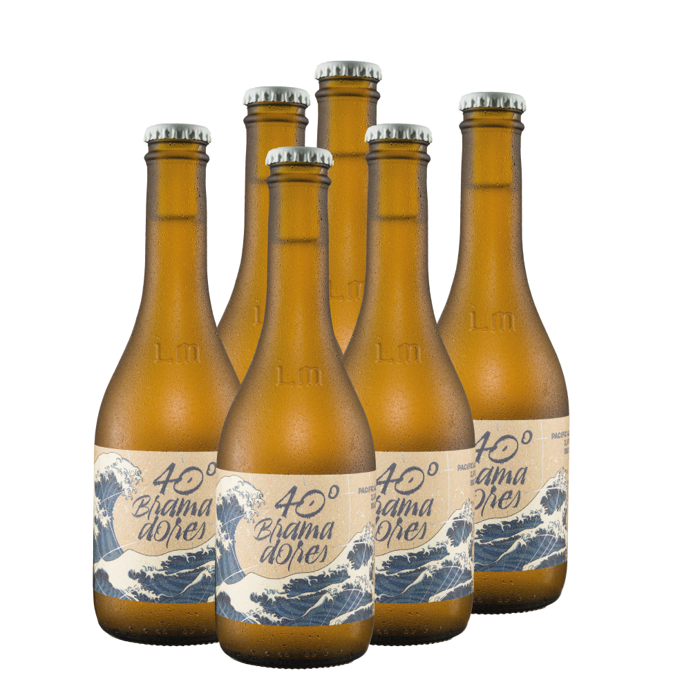 Six Pack 40° Bramadores