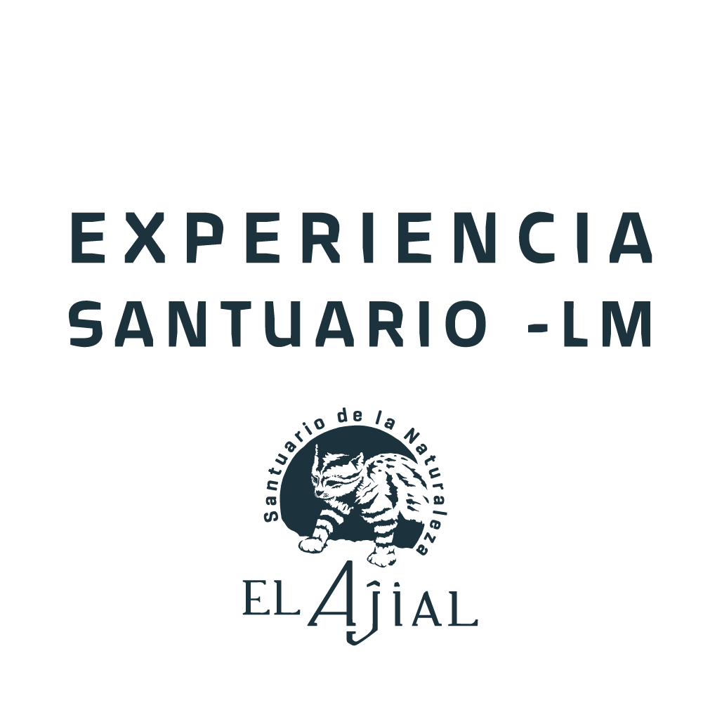 Experiencia Santuario – LM
