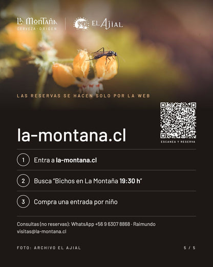 BICHOS EN LA MONTAÑA CON CRISTOBAL SPRATZ 19:30 hrs