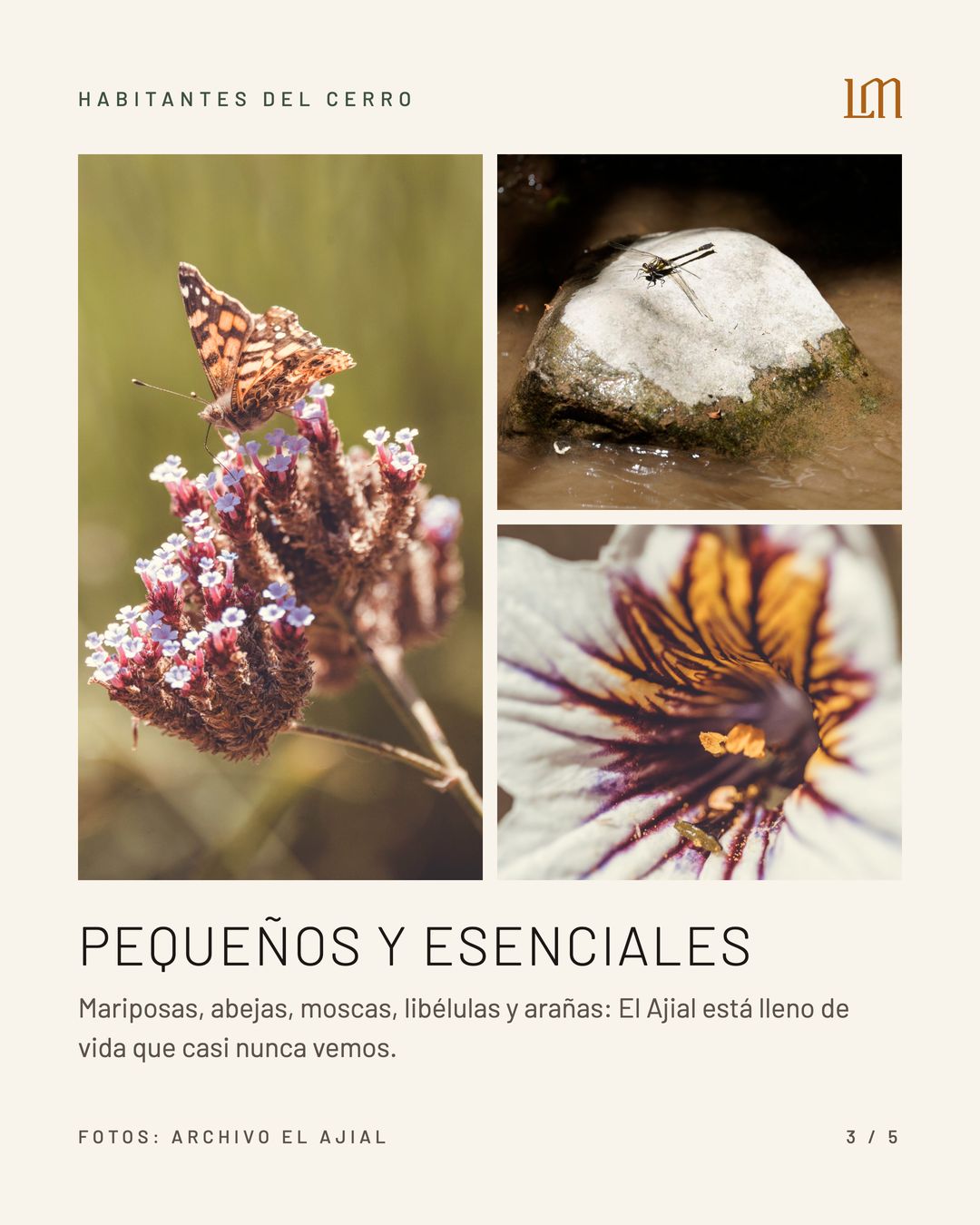 BICHOS EN LA MONTAÑA CON CRISTOBAL SPRATZ 19:30 hrs