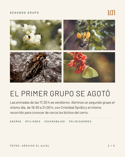 BICHOS EN LA MONTAÑA CON CRISTOBAL SPRATZ 19:30 hrs