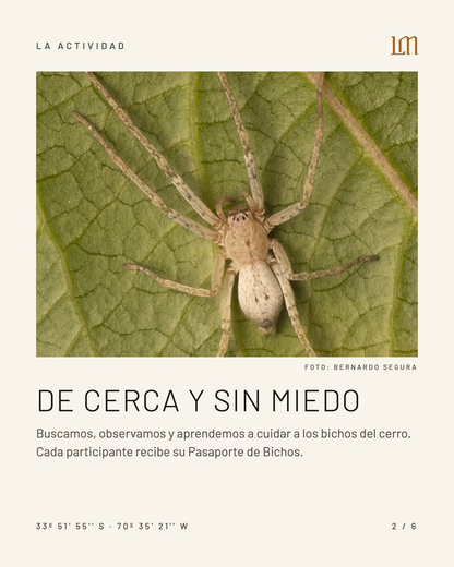 BICHOS EN LA MONTAÑA CON CRISTOBAL SPRATZ