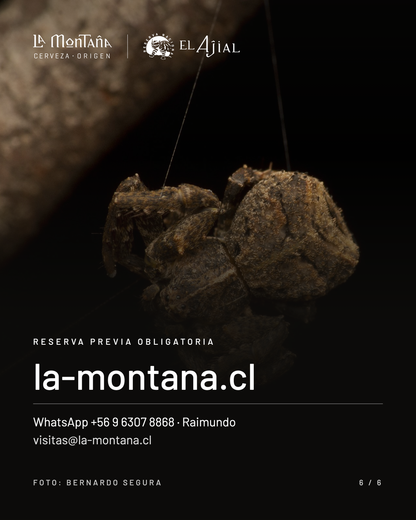 BICHOS EN LA MONTAÑA CON CRISTOBAL SPRATZ