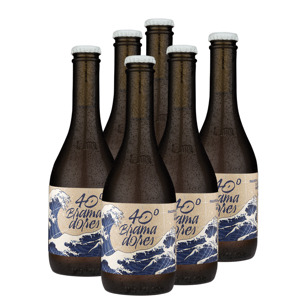 Six Pack 40° Bramadores