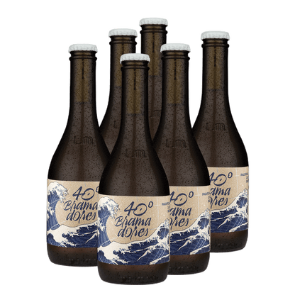 Six Pack 40° Bramadores