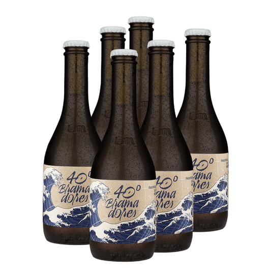 Six Pack 40° Bramadores