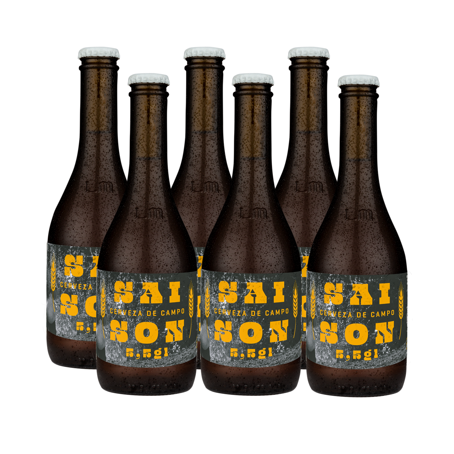 PREVENTA Sixpack Saison 5,5 gl 330cc