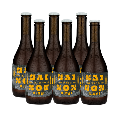 PREVENTA Sixpack Saison 5,5 gl 330cc